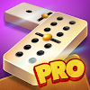 Dominoes Pro 8.5 APK for Android Icon