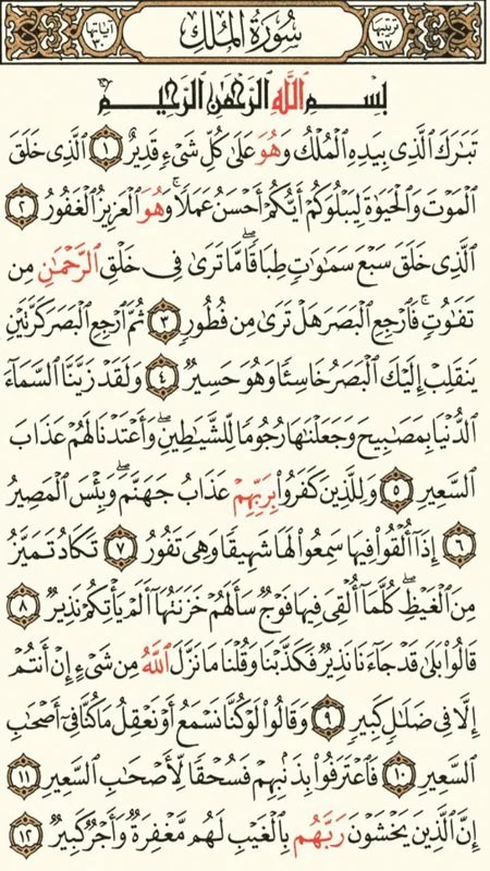 The Holy Quran Offline 8.7 APK feature