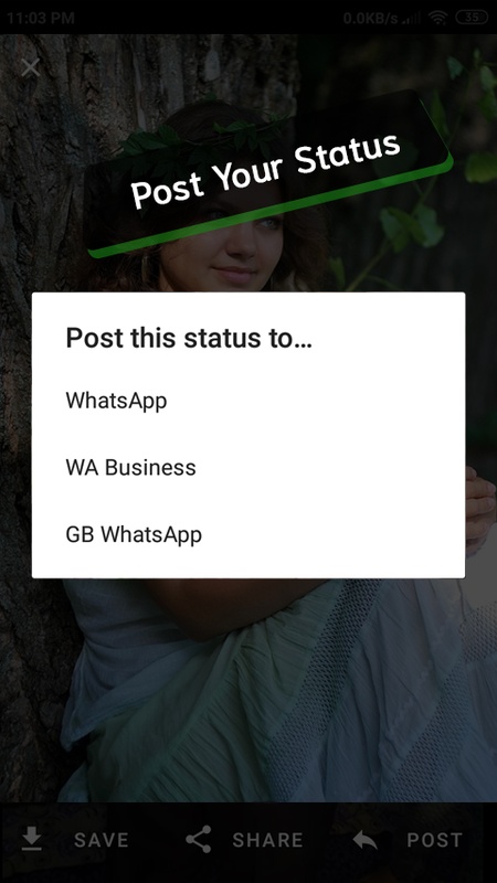 Whatsapp Status Saver 5.6-utd APK for Android Screenshot 1