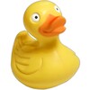 Cyberduck 8.8.1.41263 for Mac Icon