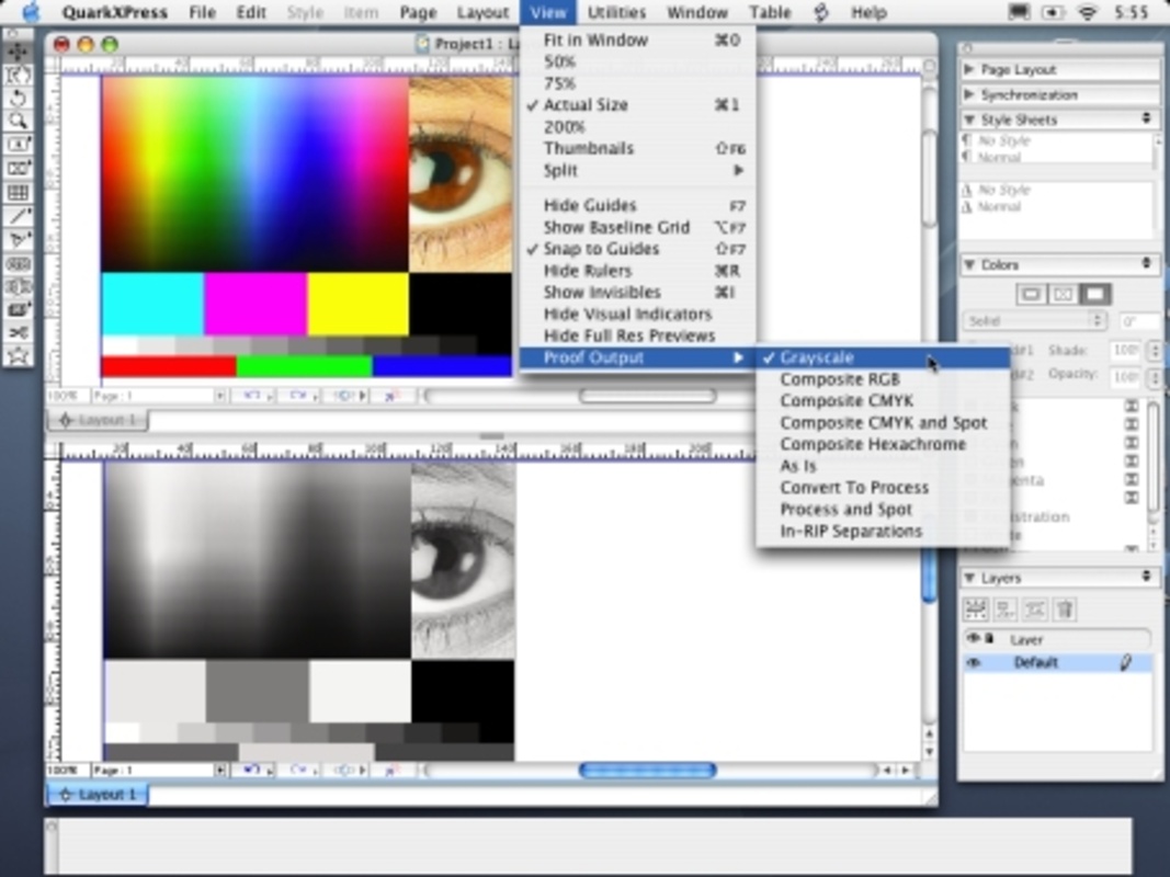 QuarkXPress 8.0.1 for Mac Screenshot 1