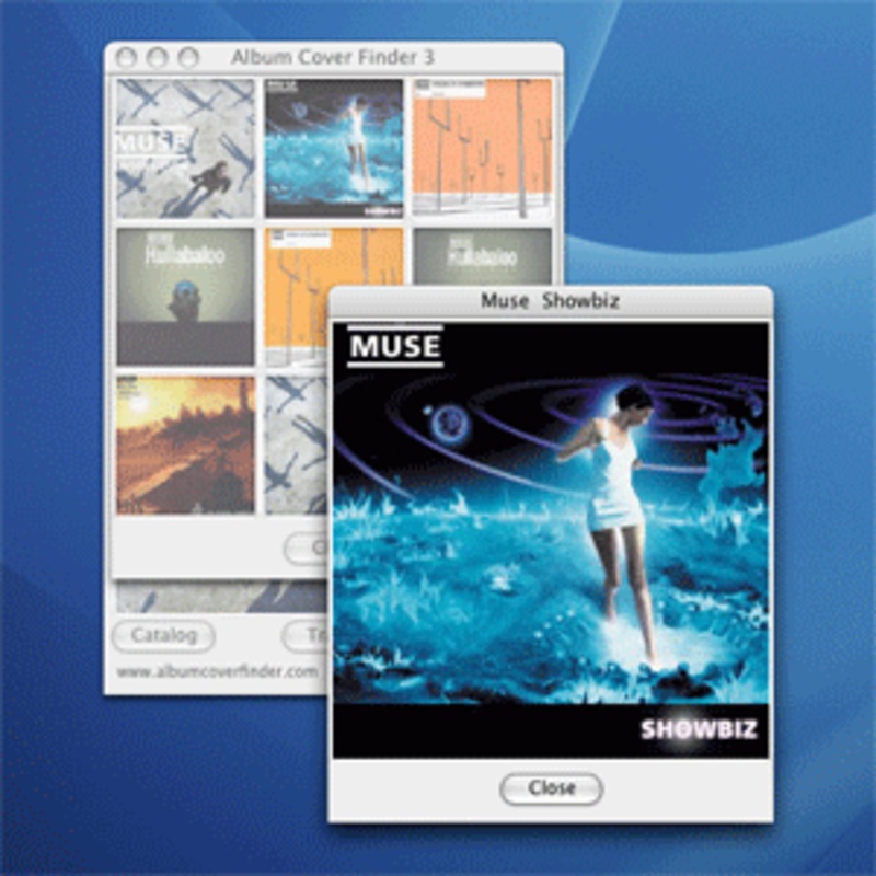 Album cover finder 7.0.0 for Windows Screenshot 1