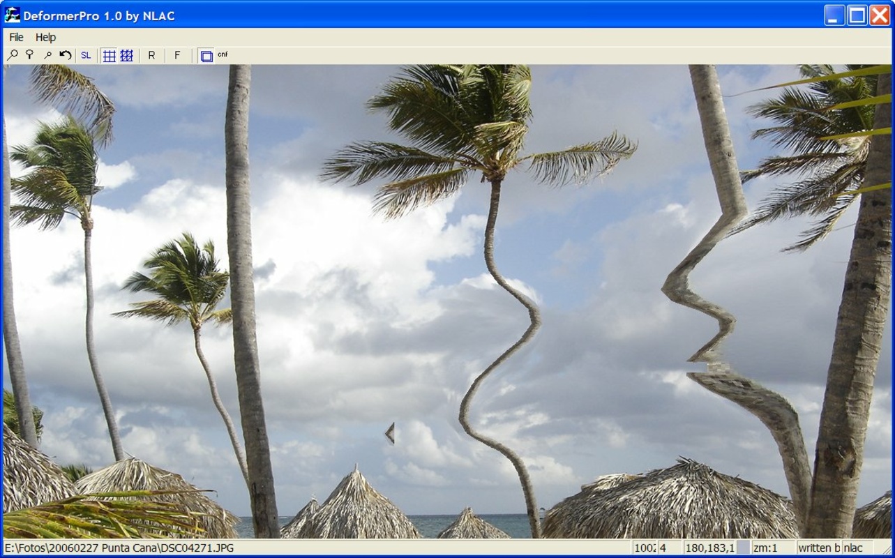 Deformer Pro 1.0 for Windows Screenshot 1