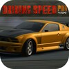 Driving Speed Pro 1.10 for Windows Icon