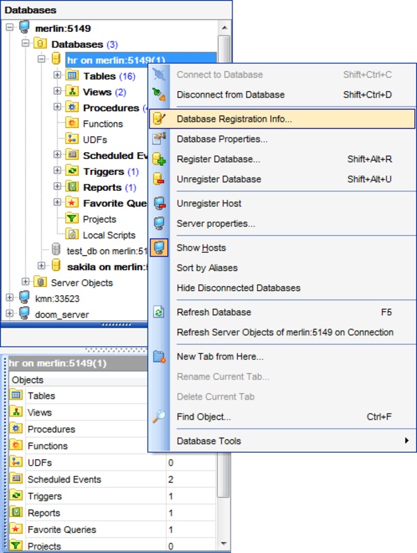 EMS MySQL Manager 5.8.0.53936 for Windows Screenshot 1