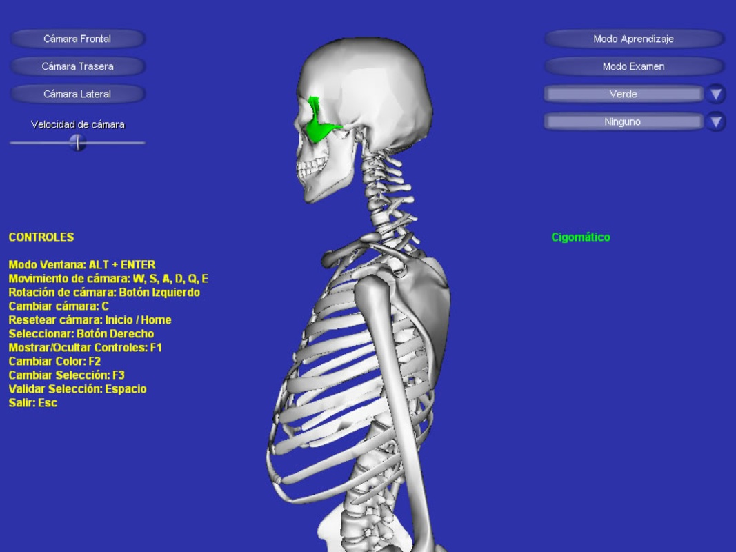 Esqueleto 3D 2.0 for Windows Screenshot 1