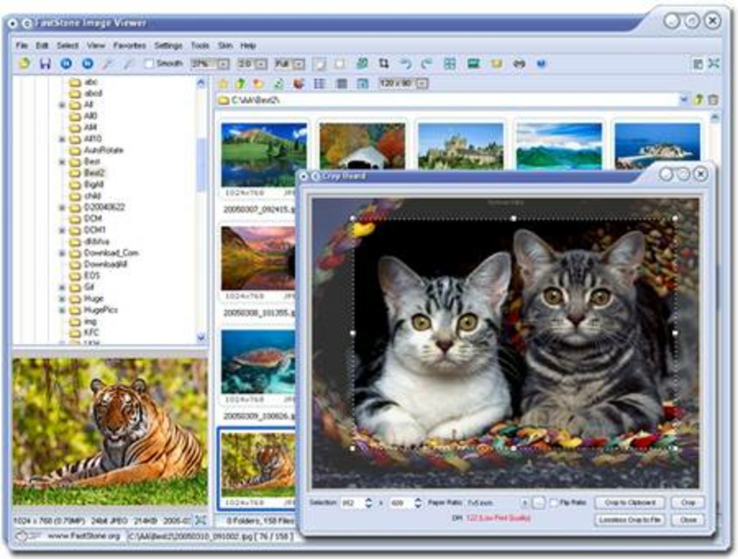 FastStone Image Viewer 7.8 for Windows Screenshot 1