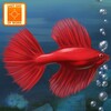 Fish Tycoon Unlimited for Windows Icon