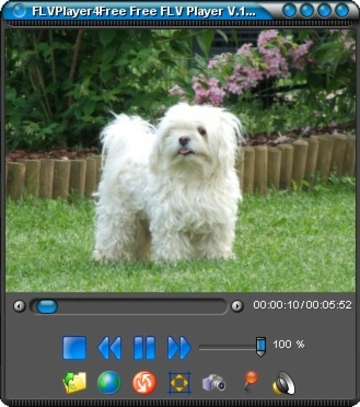 FLVPlayer4Free 4.6.0.0 feature