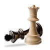 GNU Chess 6.2.5 for Windows Icon