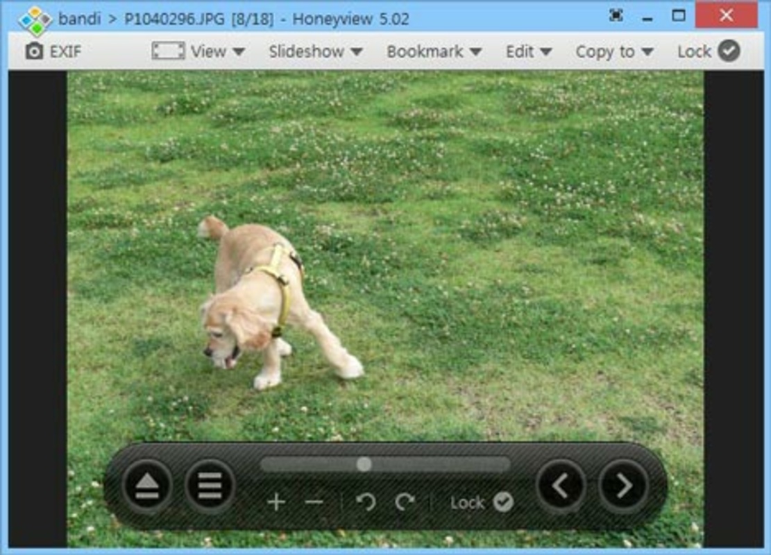 Honeyview 5.51 for Windows Screenshot 1