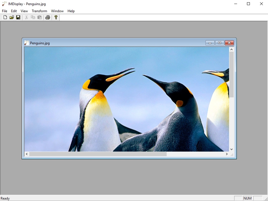 ImageMagick 7.1.1-29 for Windows Screenshot 1