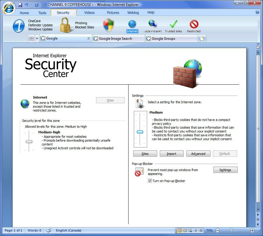 Internet Explorer 8 para Vista  for Windows Screenshot 1