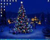 My 3D Christmas Tree for Windows Icon