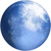 Pale Moon 33.0.1 for Windows Icon