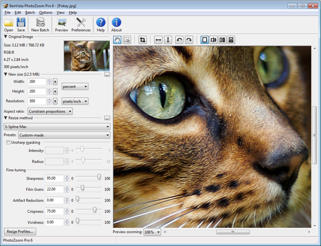 PhotoZoom Classic 6.0.4 for Windows Screenshot 1