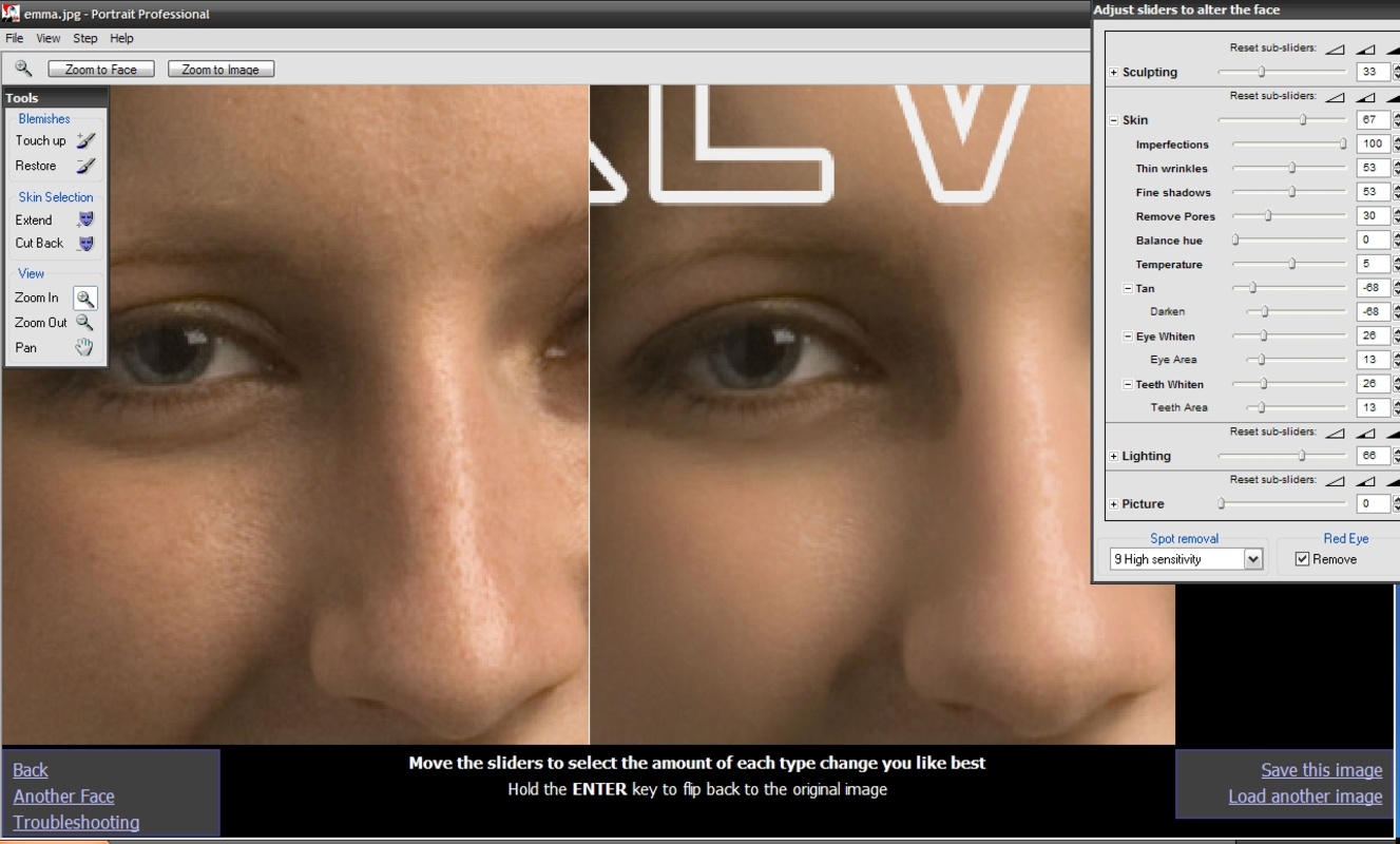 Portrait Professional 8.1 for Windows Screenshot 1