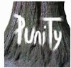 Punity 1.0 for Windows Icon