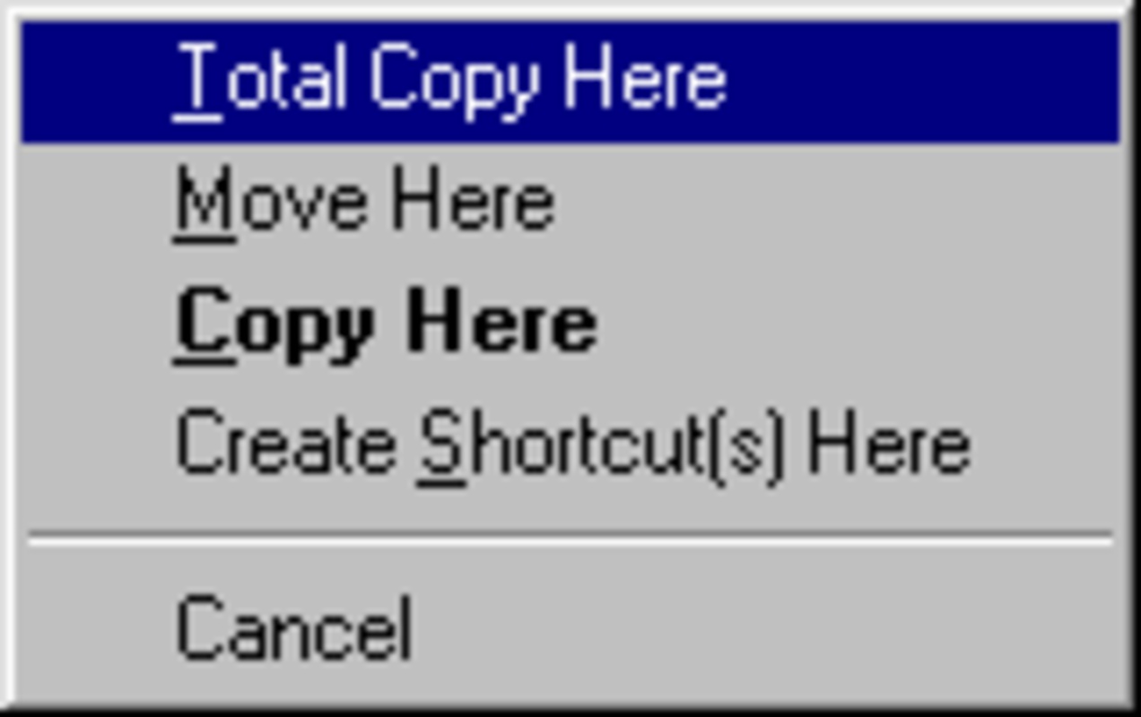 Total Copy 1.20 feature