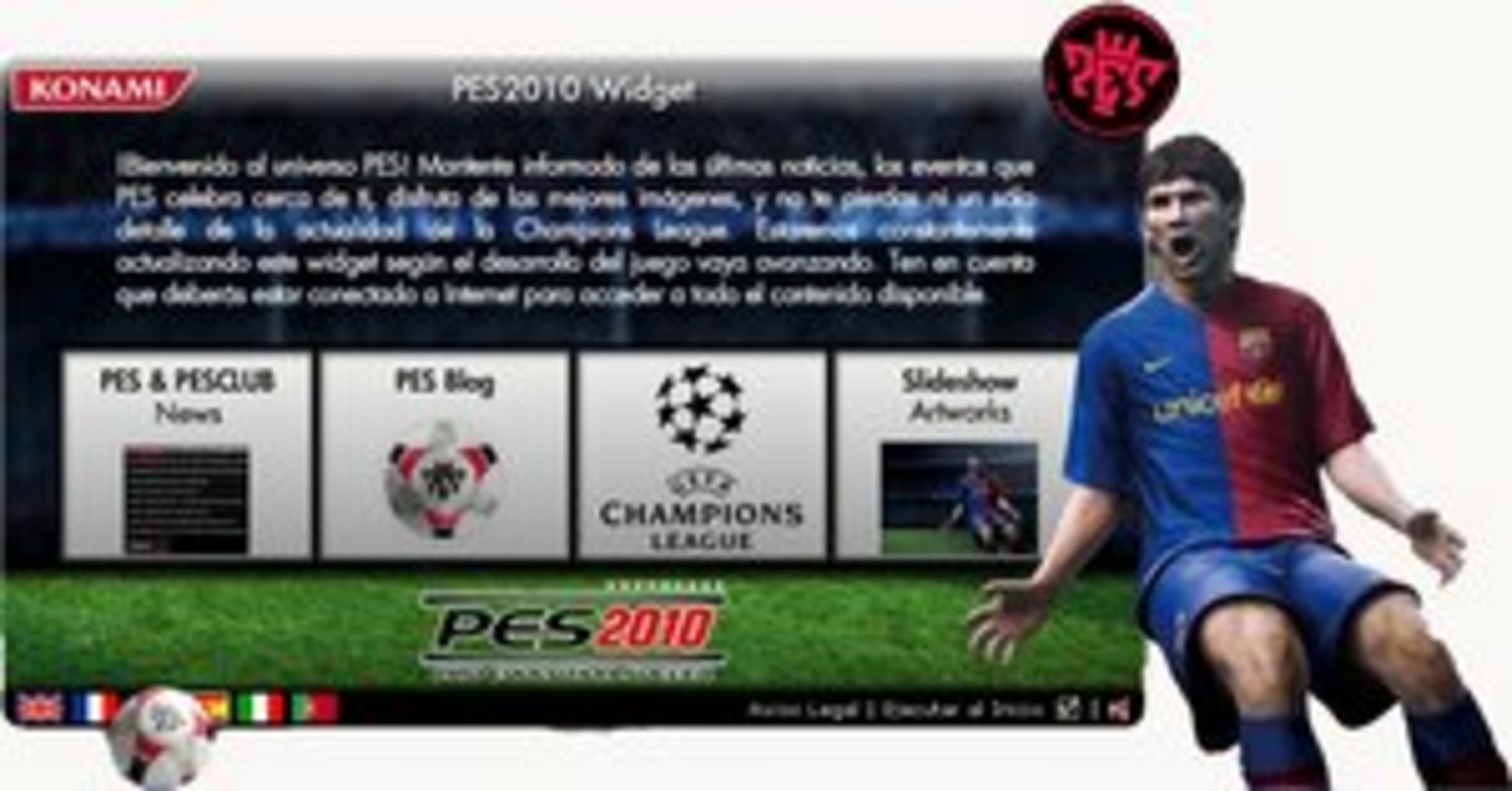 Widget PES2010 feature